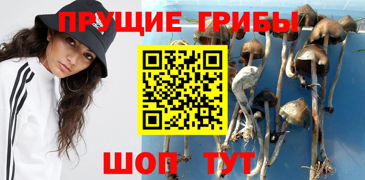 Псилоцибиновые грибы Psilocybine cubensis  Вход с VPN  Псилоцибиновые грибы MAGIC MUSHROOMS  наркошоп  Алушта 